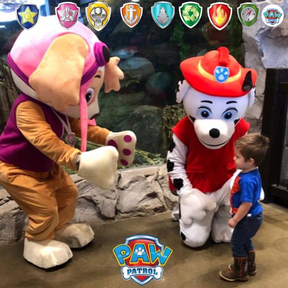 Meet your Posher, Stephanie - Picture 1 of 1